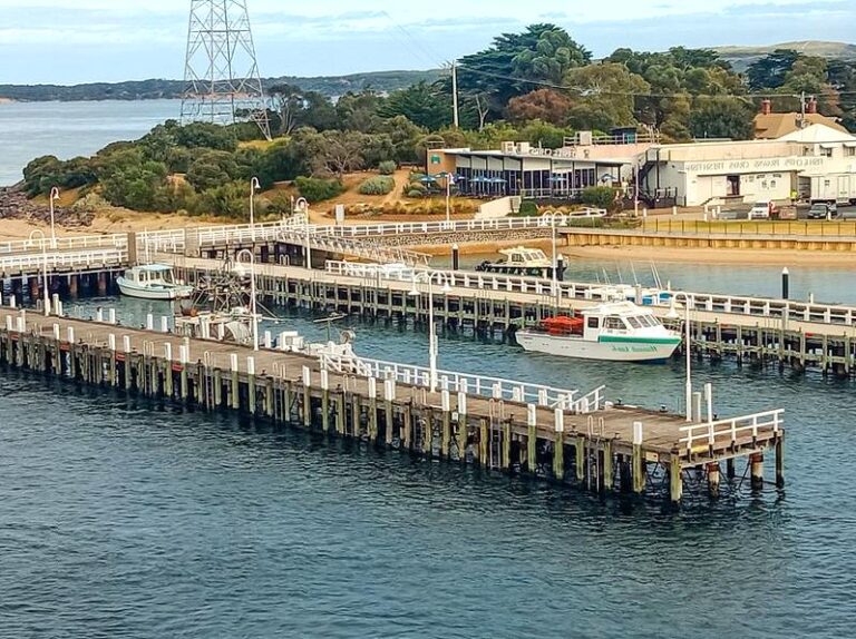 Marine Life Exploration: San Remo Fisherman’s Co-op on Phillip Island